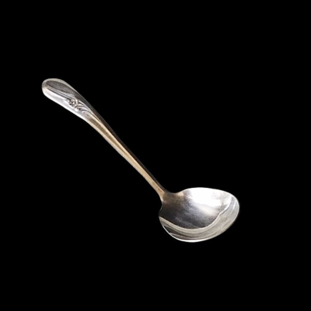 H&T Mfg Co 1940 Meadow Flower Pattern Condiment Serving Spoon Silverplated